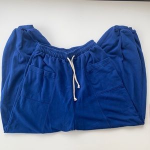 Urban Outfitters blue sweatpants